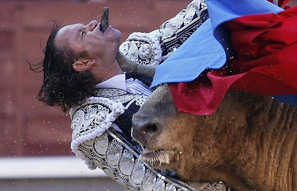 Come Here Little Bull With The Big Sharp Horns