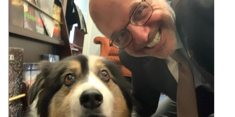 House unanimously passes bill introduced by FL lawmakers to make animal cruelty a federal crime