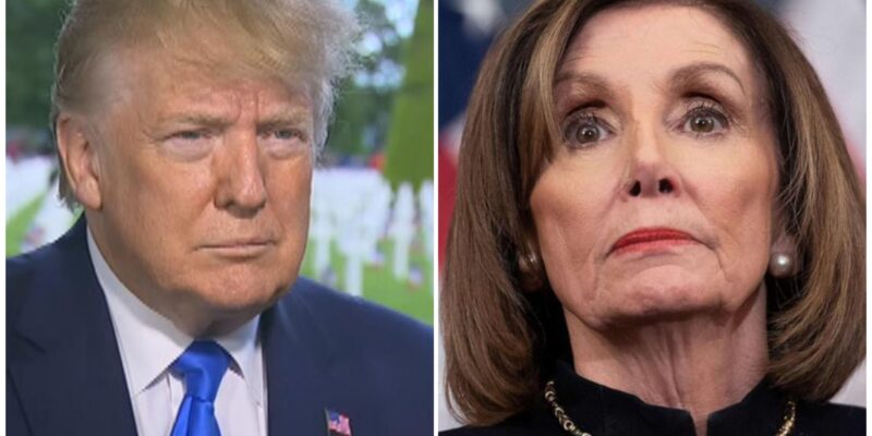 Trump: Pelosi is a ‘Sick Puppy’ Over Coronavirus Criticism